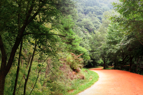 계족산황토길